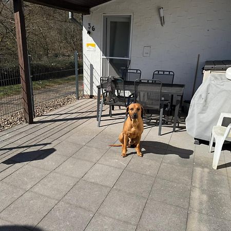 Ferienhaus Stausee Bitburg Biersdorf 外观 照片