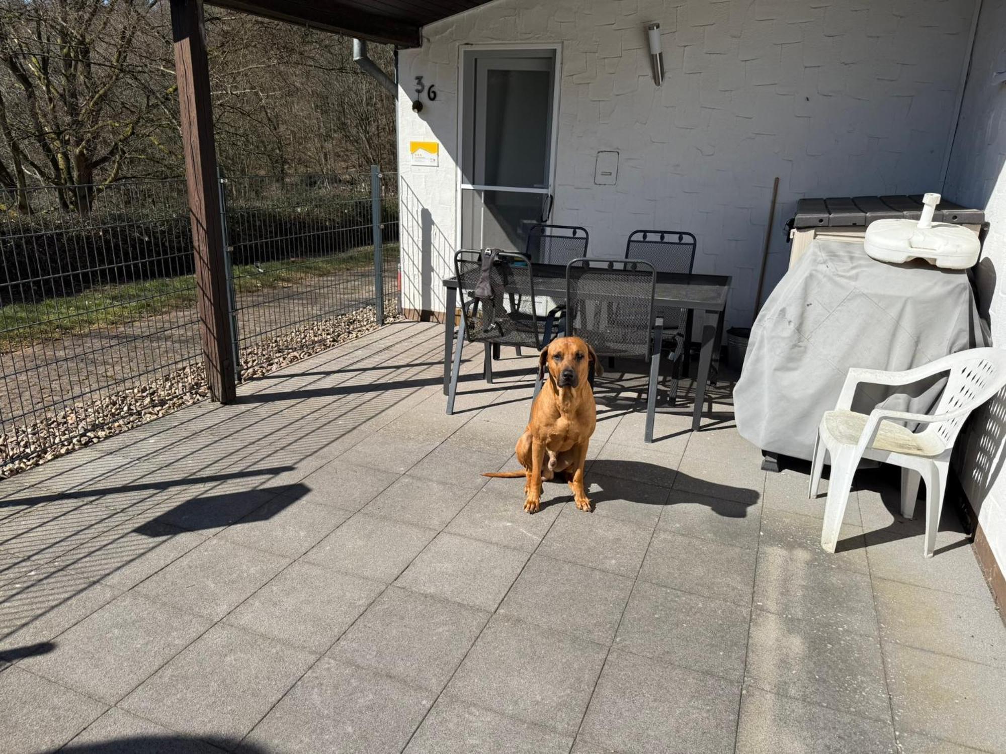 Ferienhaus Stausee Bitburg Biersdorf 外观 照片