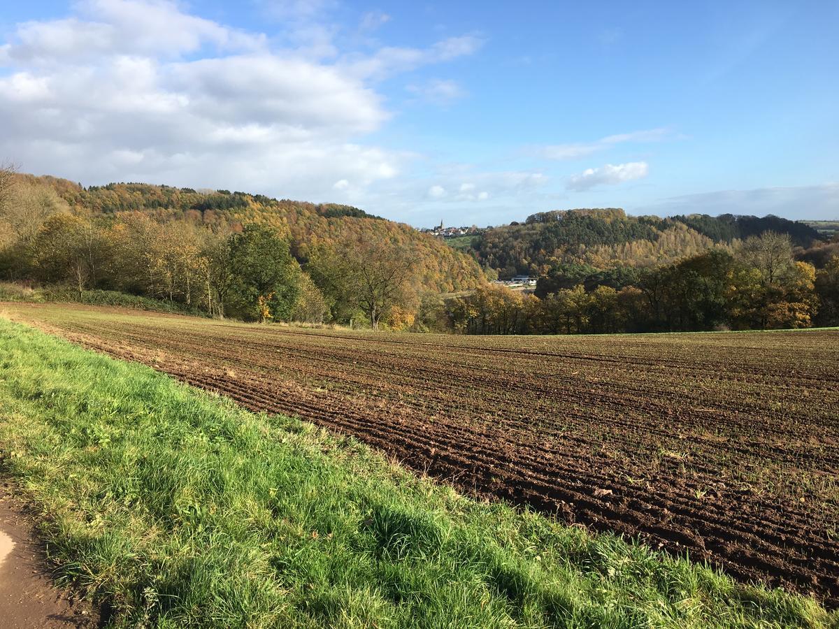 Ferienhaus Stausee Bitburg Biersdorf 外观 照片